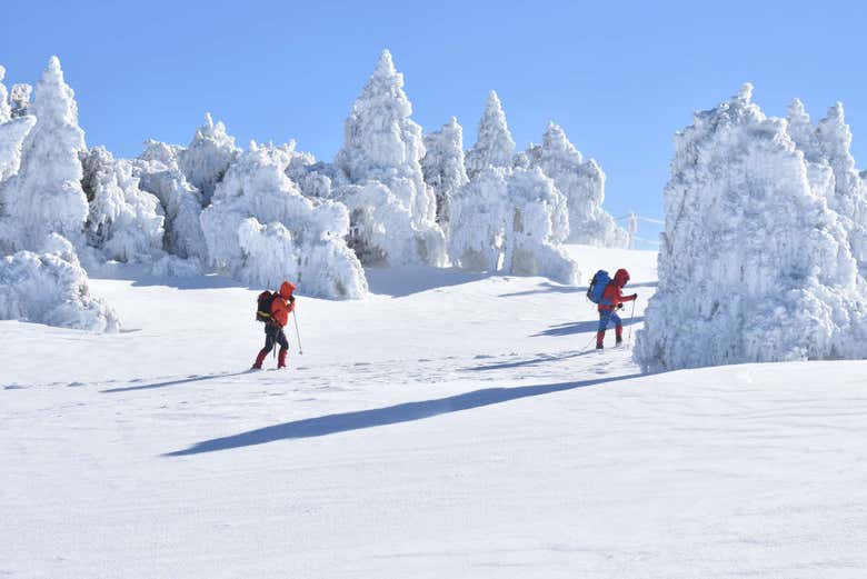 Paseo en raquetas de nieve
